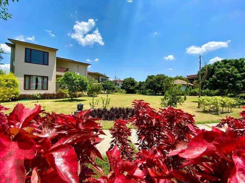 Sunday Alaya Corbett Villa Ramnagar  Ngoại thất bức ảnh